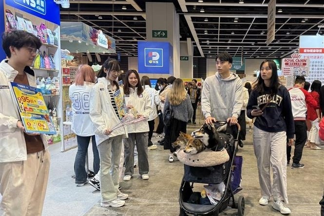 Trung Quoc: Gioi tre quan tam den thu cung nhieu hon sinh con hinh anh