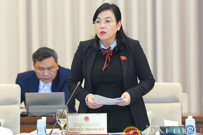 Dai bieu Quoc hoi: 'Xet tuyen som khong khac gi chi dinh thau' hinh anh