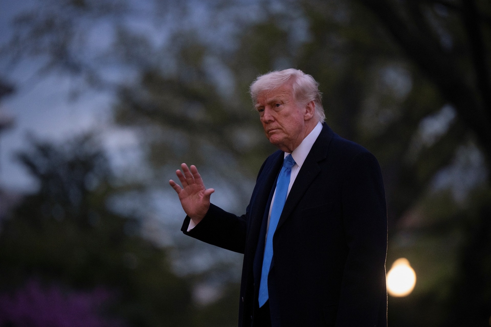 tổng thống Trump ảnh 1 tong thong Trump anh 1