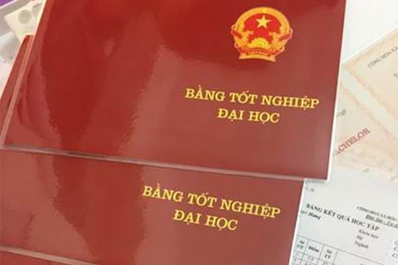 Giao vien bi khoi to hinh su vi lam bang tot nghiep gia hinh anh