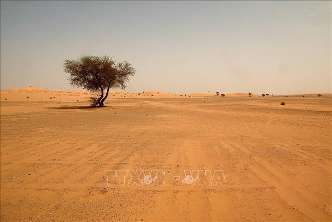 may bui sahara anh 1