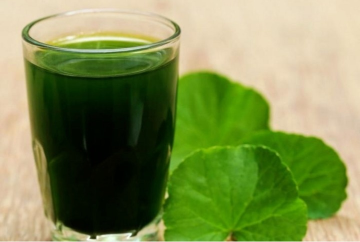 Uong nuoc rau ma mua he co tac dung gi? hinh anh