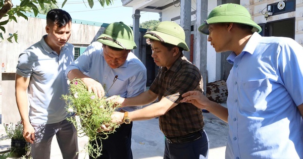Ha Tinh xuat hien o dich sot xuat huyet dau tien trong nam hinh anh
