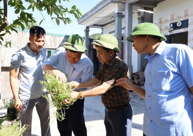 o dich sot xuat huyet anh 2