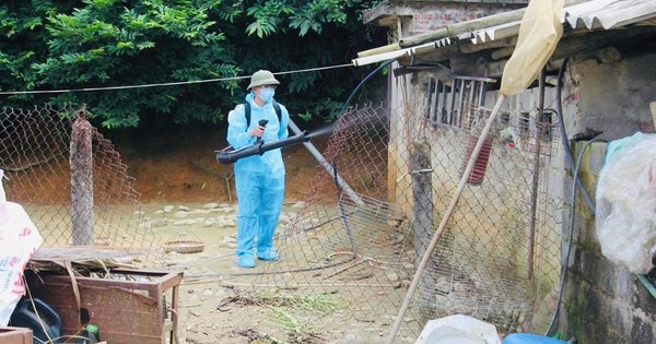 2 ca mac viem nao Nhat Ban B o Quang Ninh co trieu chung sot, dau dau hinh anh