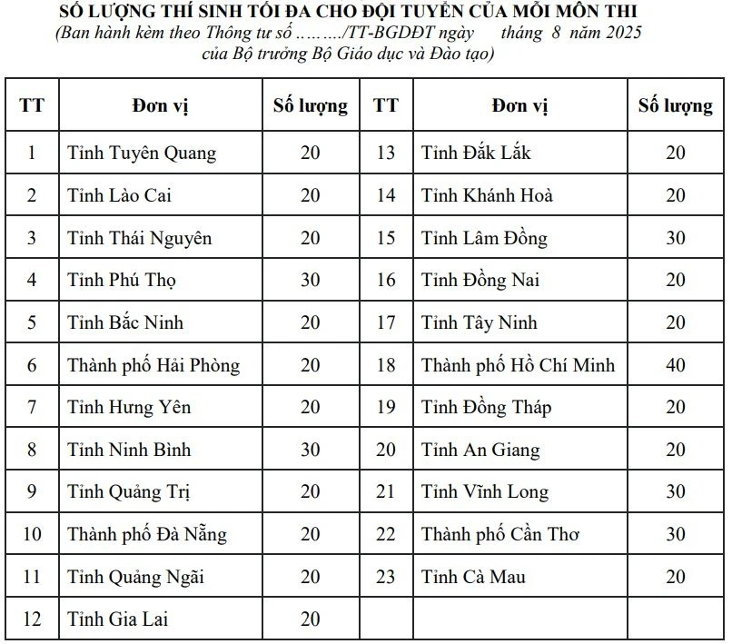 doi tuyen hoc sinh gioi anh 1