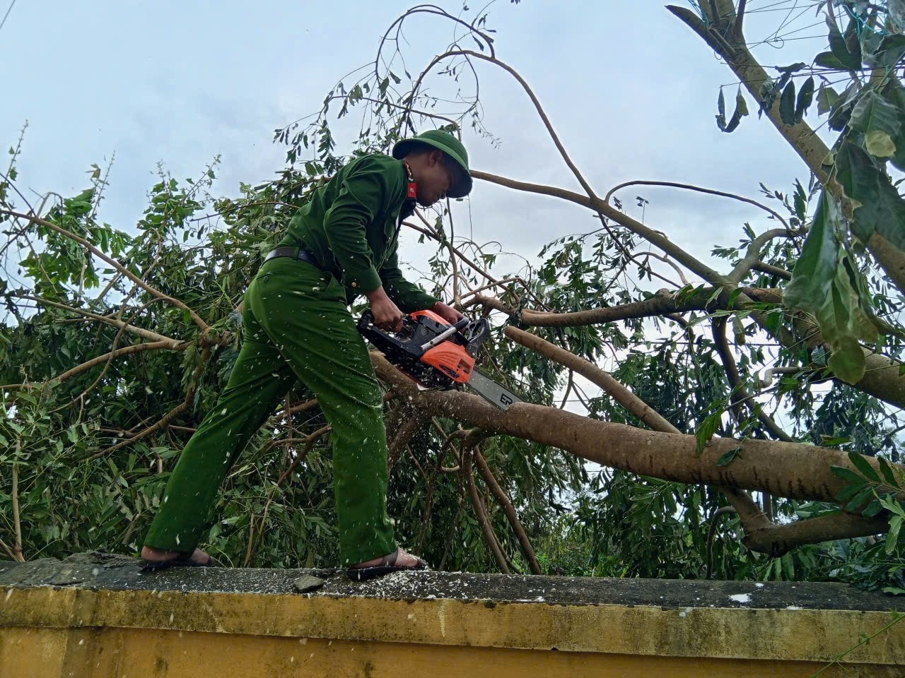 truong hoc toc mai anh 1