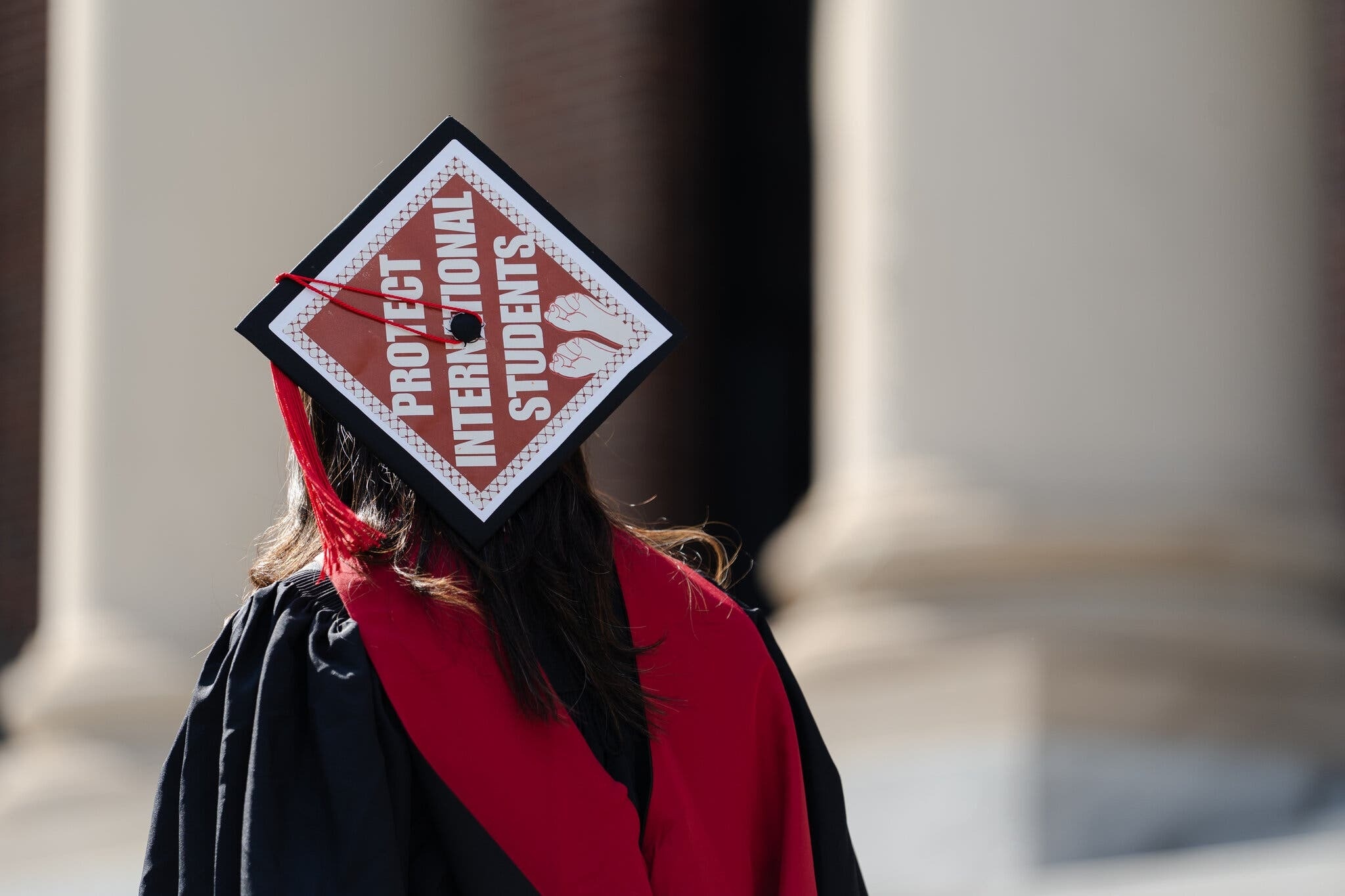Canh trai nguoc o Dai hoc Harvard hinh anh