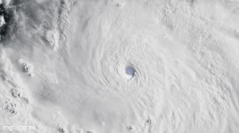 Ben trong mat 'bao the ky' Melissa hinh anh