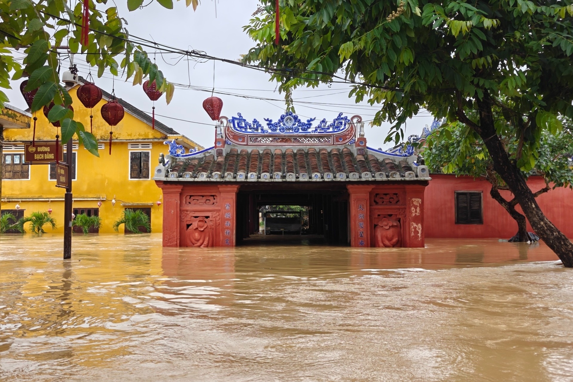 Ly do bao thang 11 nhieu hon moi nam hinh anh