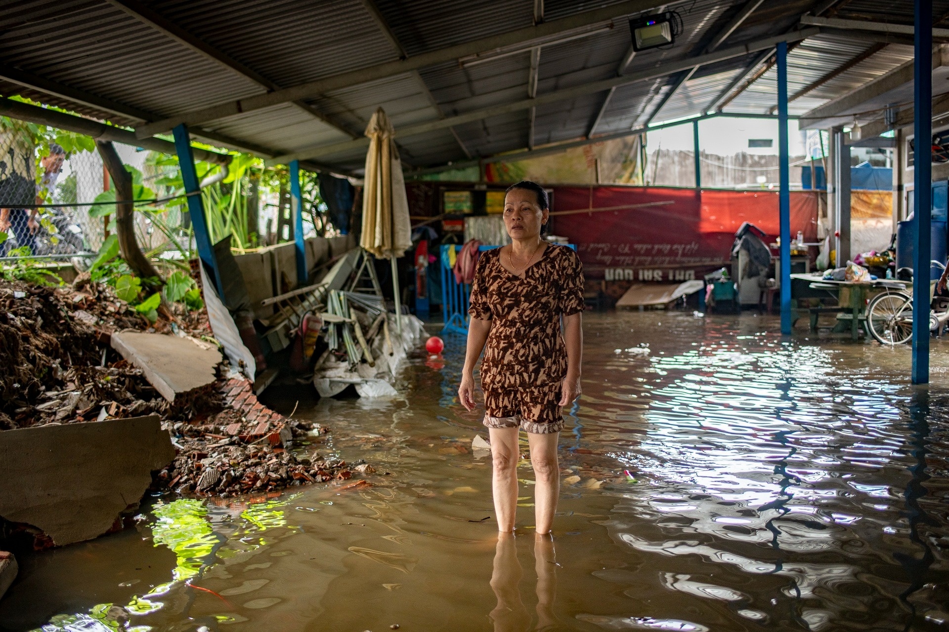 trieu cuong la gi anh 1