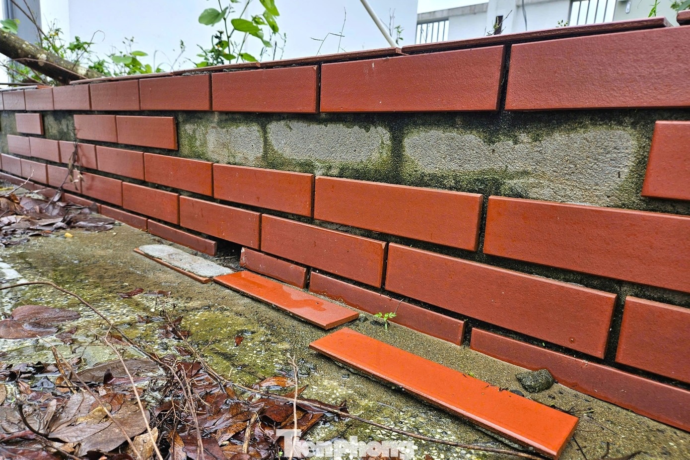 phong hoc xuong cap anh 11