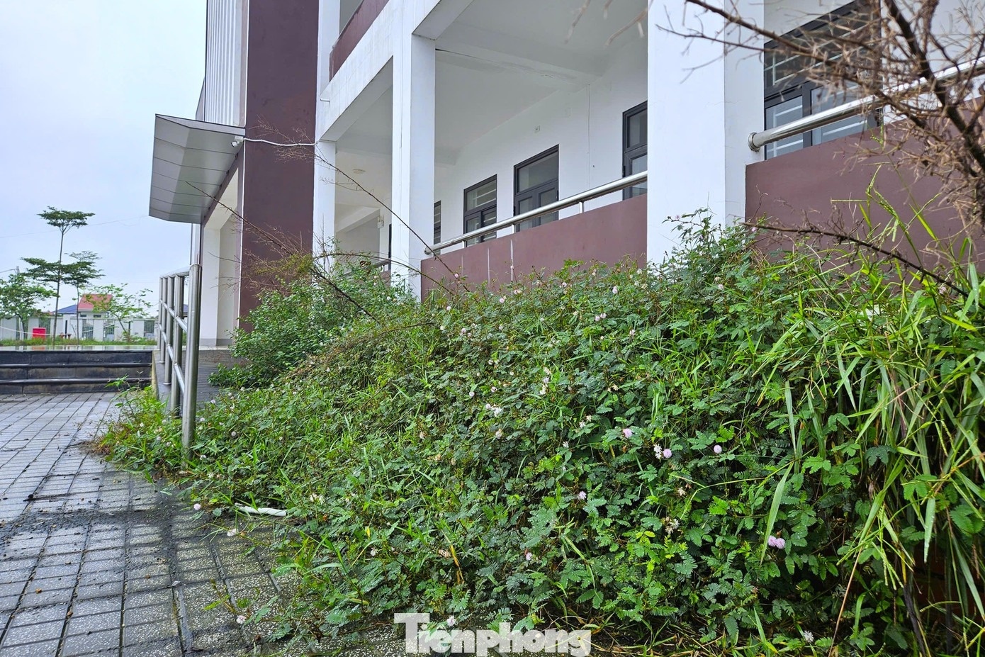 phong hoc xuong cap anh 9