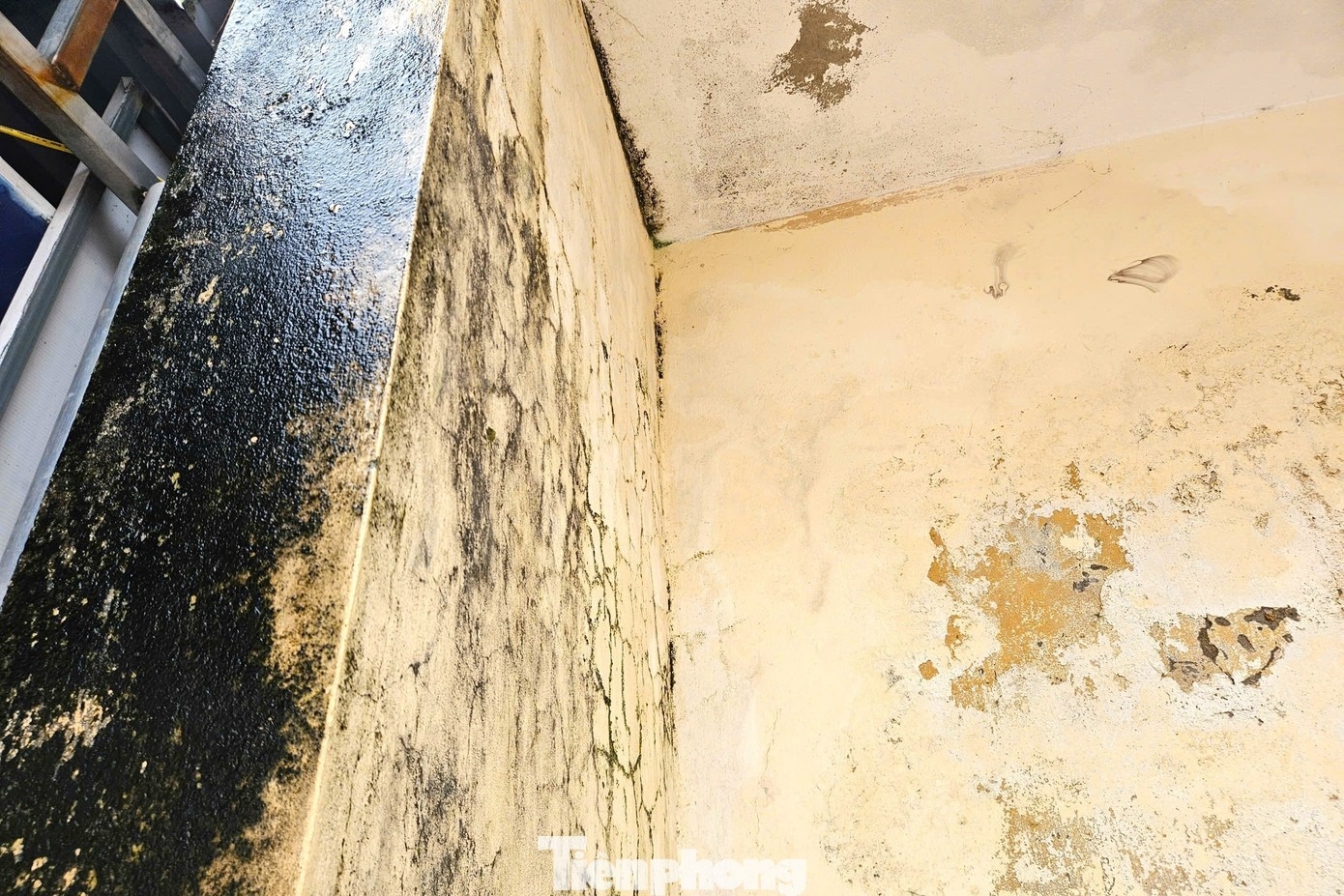 phong hoc xuong cap anh 15