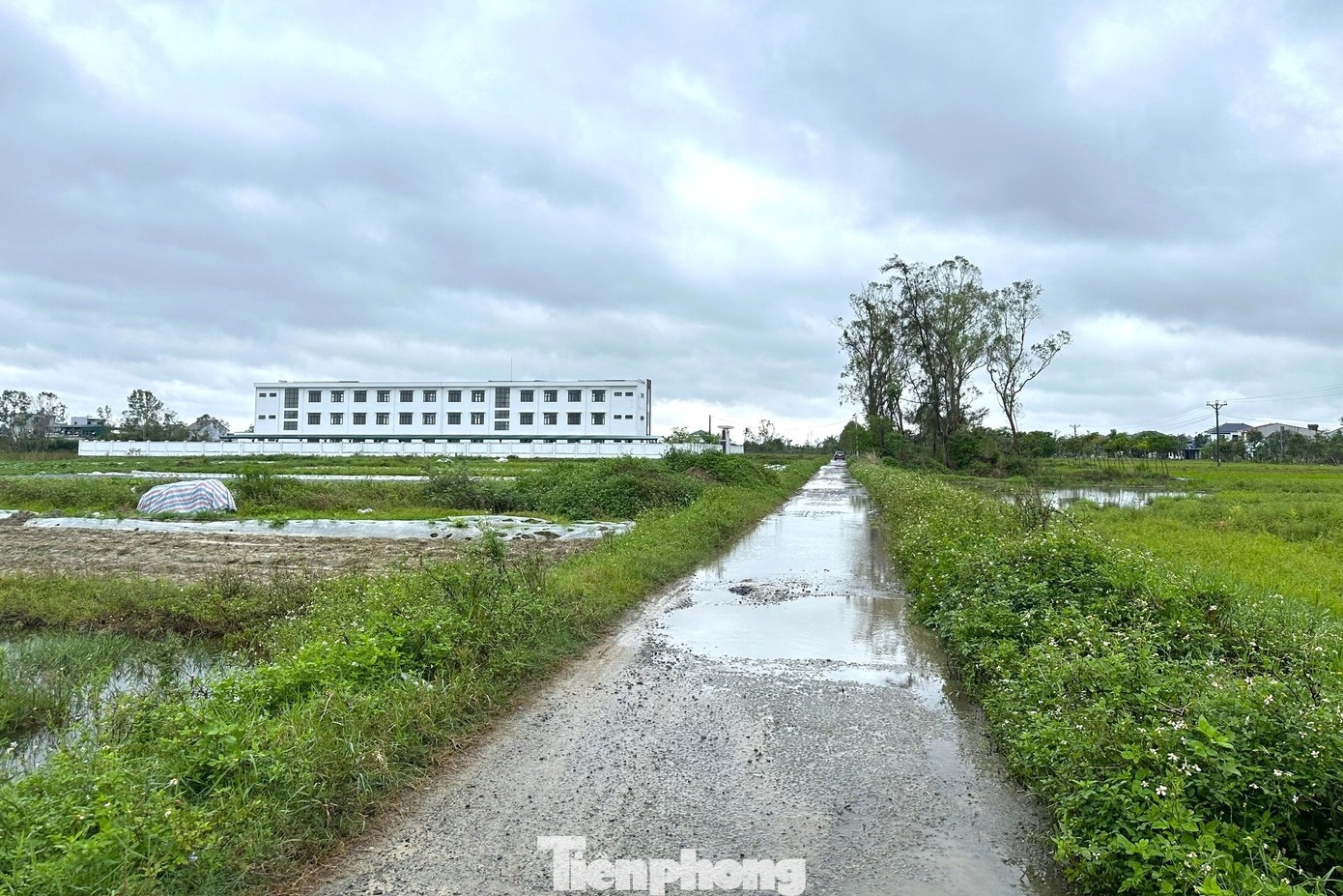 phong hoc xuong cap anh 5