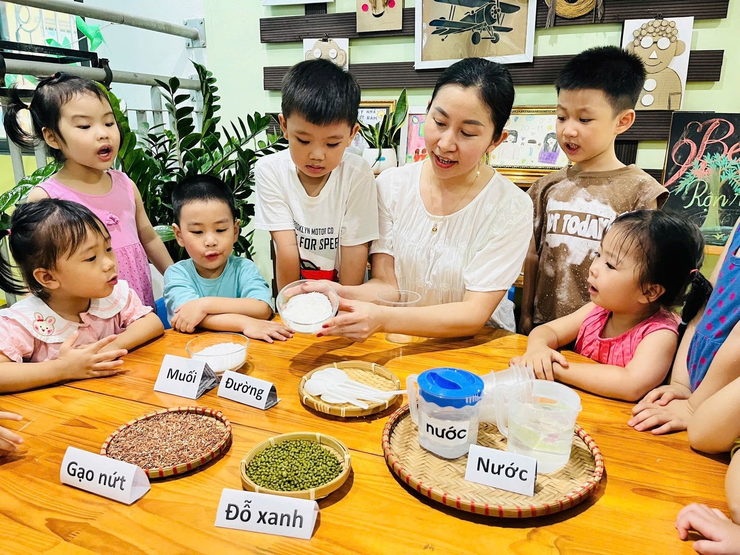 'Giao vien moi ra truong luong khong du chi tieu hang ngay' hinh anh