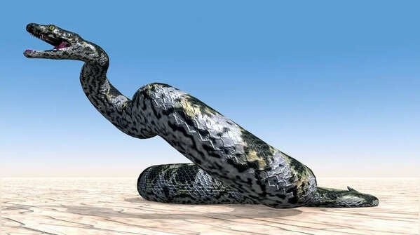 loai ran lon nhat anh 3