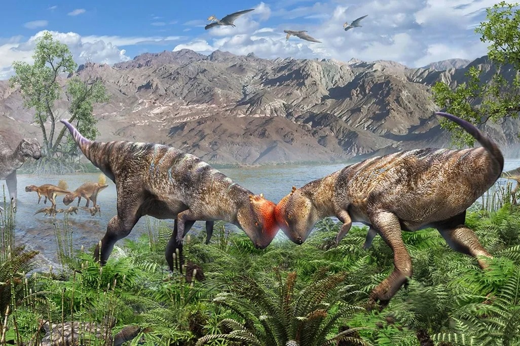 Nhung bong hinh ky la moi cua de che khung long hinh anh