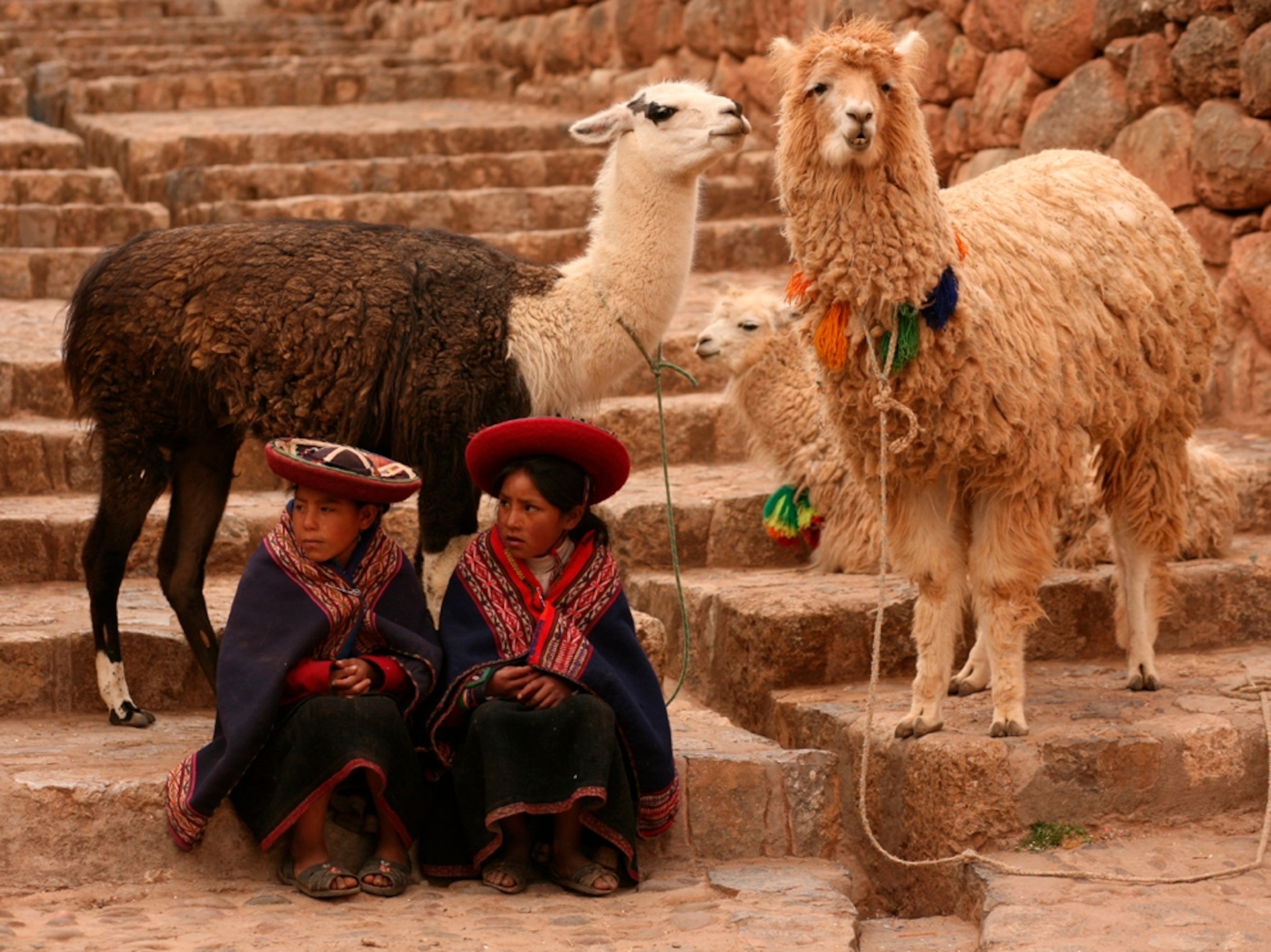 Quoc gia xa Viet Nam nhat tren Trai Dat hinh anh