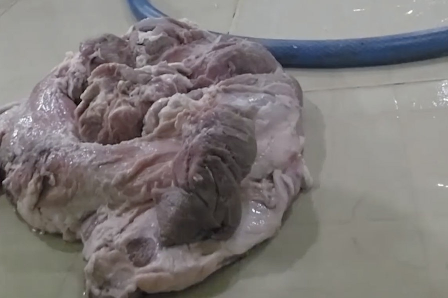 Nhieu truong o TP.HCM tam dung an ban tru hinh anh