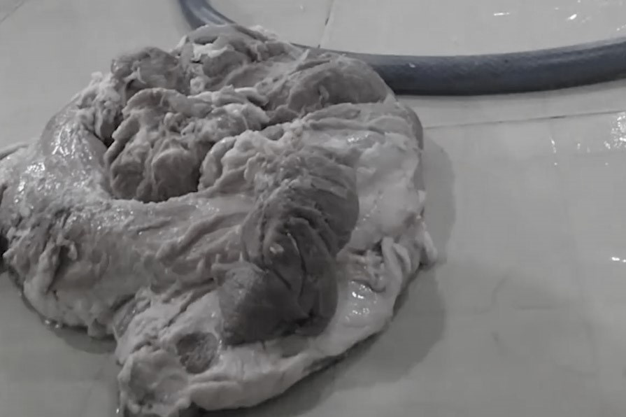 7 truong hoc o TP.HCM su dung suat an do Sago Food cung cap hinh anh