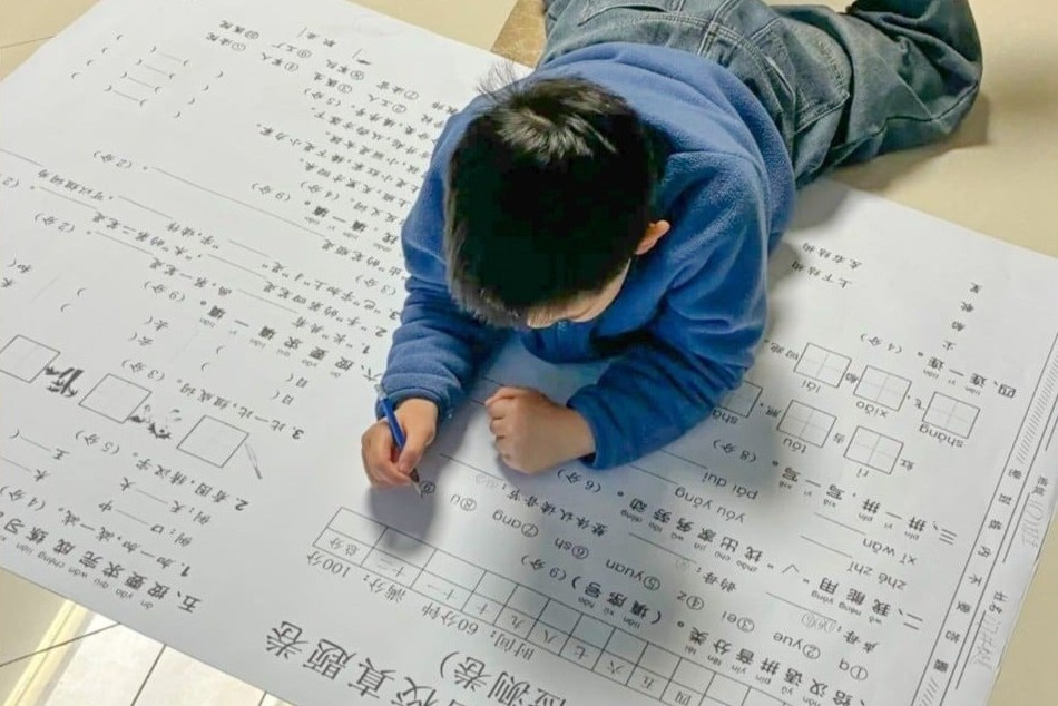 Bai tap ve nha 'sieu to khong lo' gay tranh luan o Trung Quoc hinh anh