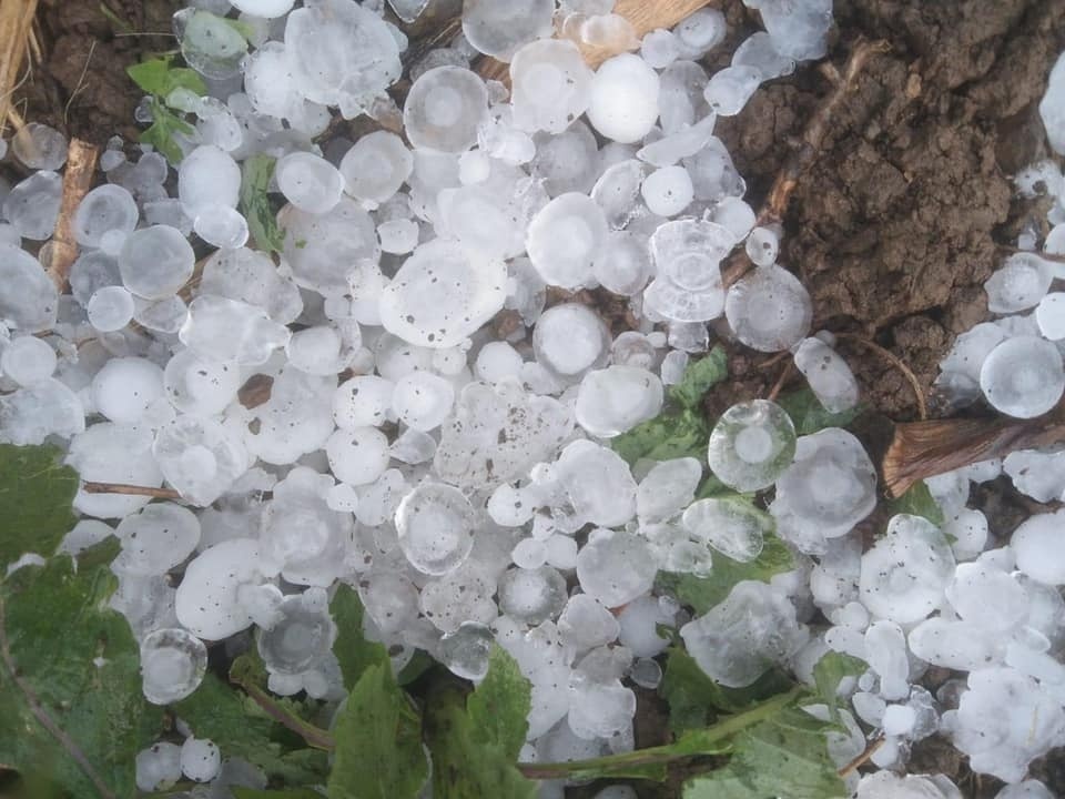 Mua da xuat hien o mien Bac vao thang 4 co bat thuong? hinh anh