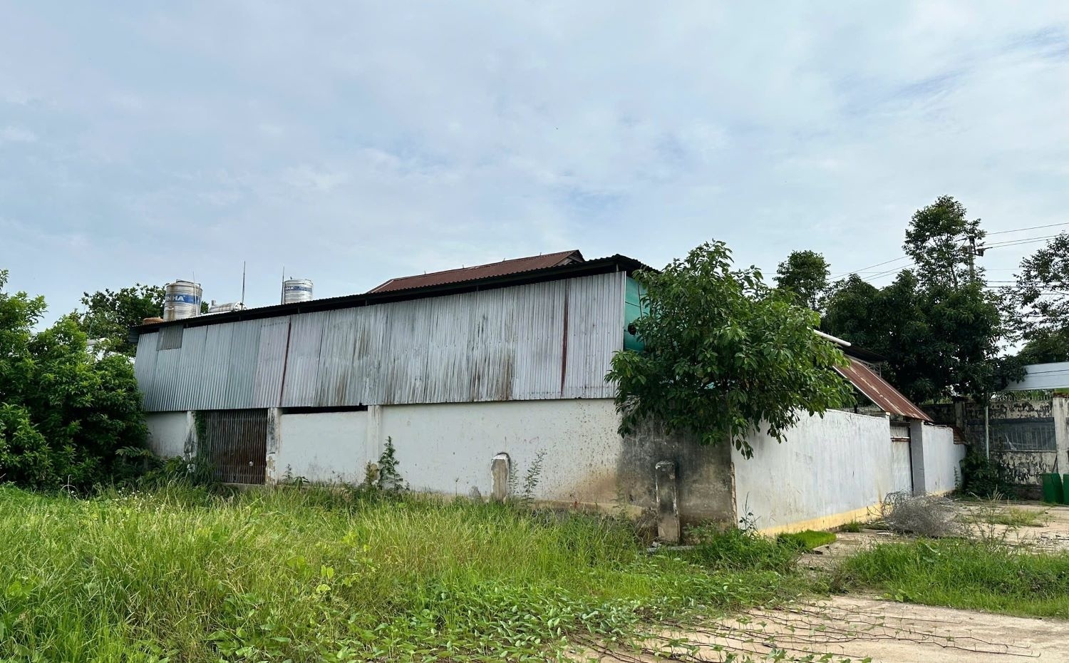 kiện ảnh 2