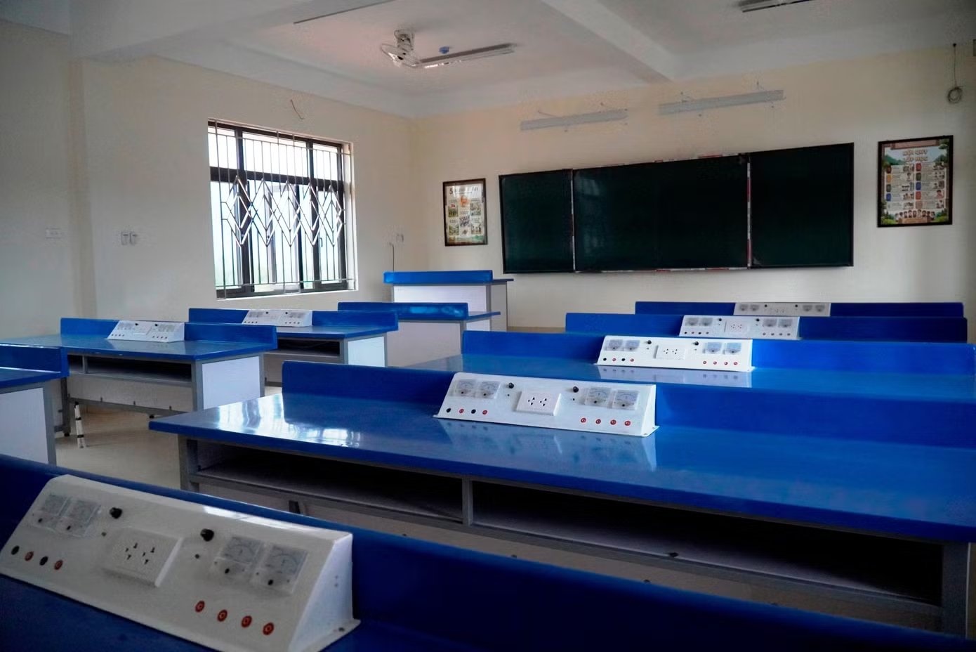 trường ảnh 5