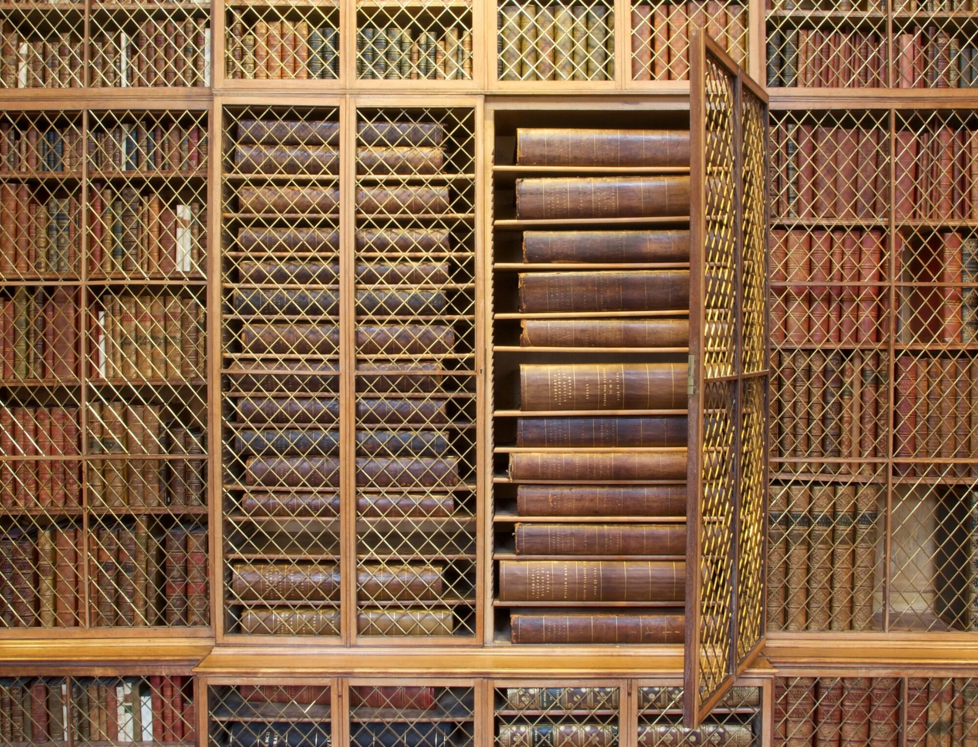 trường ảnh 6