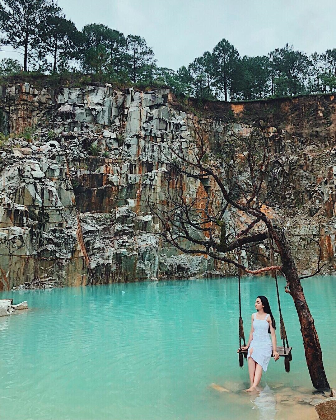 10 cay co don o VN anh 4