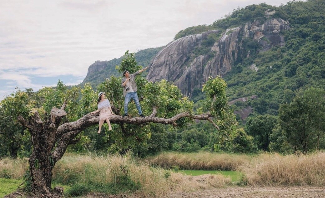 10 cay co don o VN anh 8