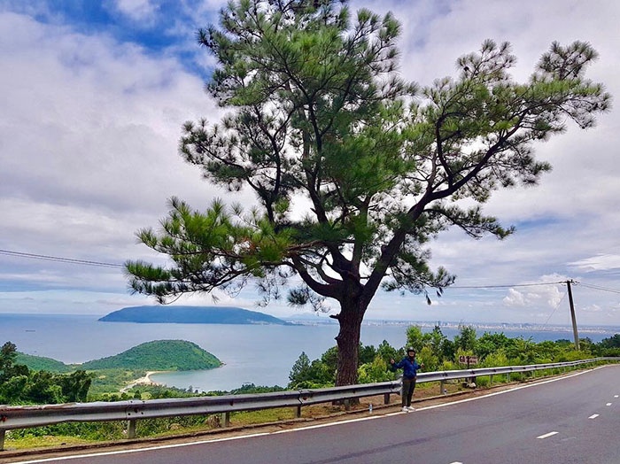 10 cay co don o VN anh 12