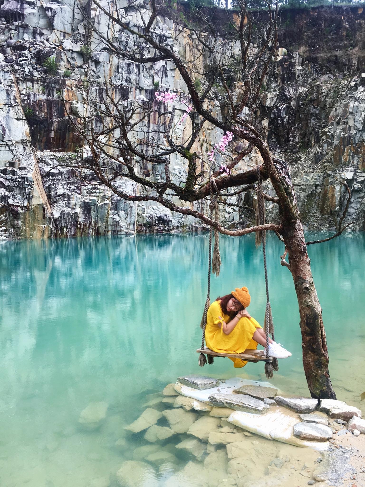 10 cay co don o VN anh 3