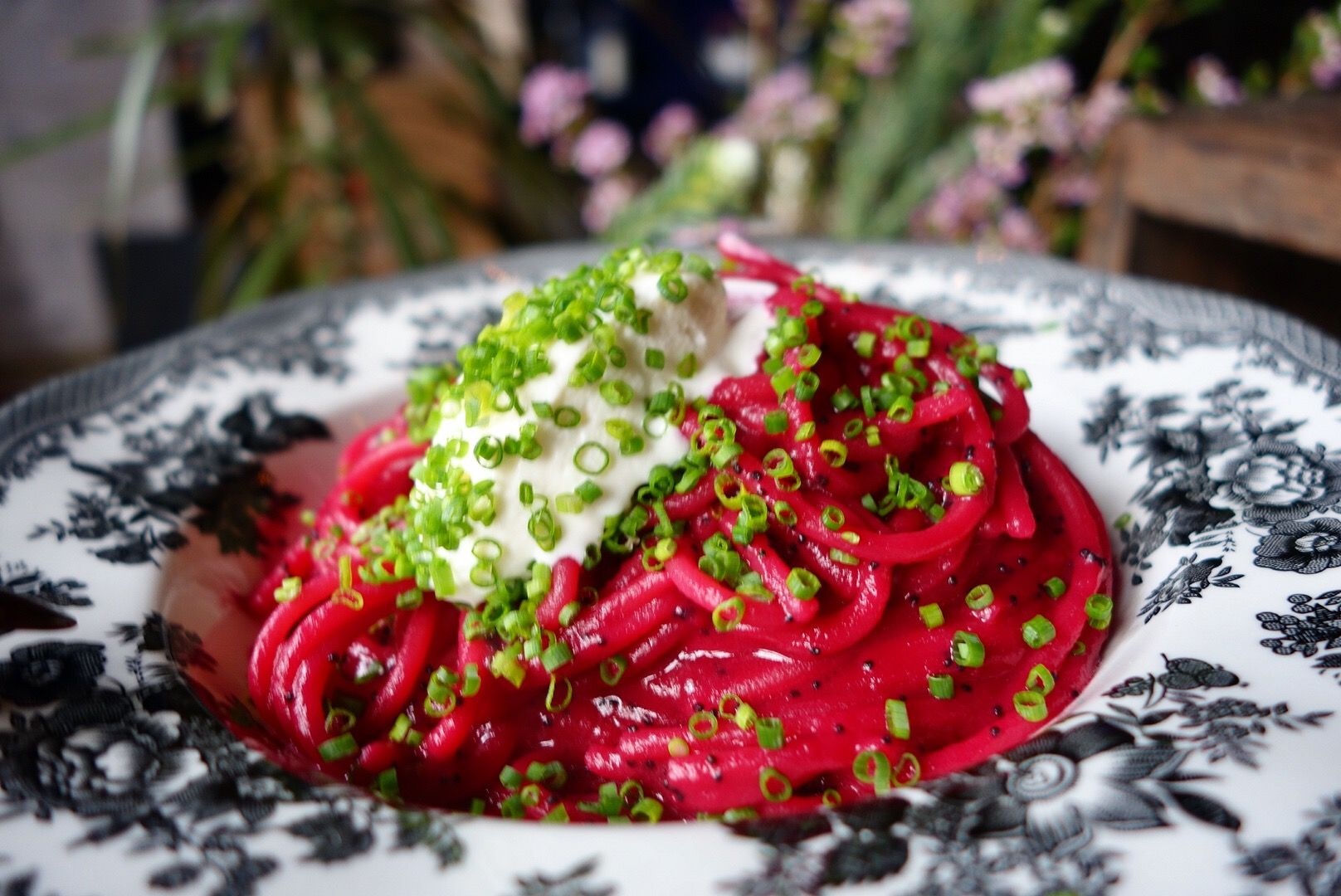 5 quan mi y gia binh dan anh 7