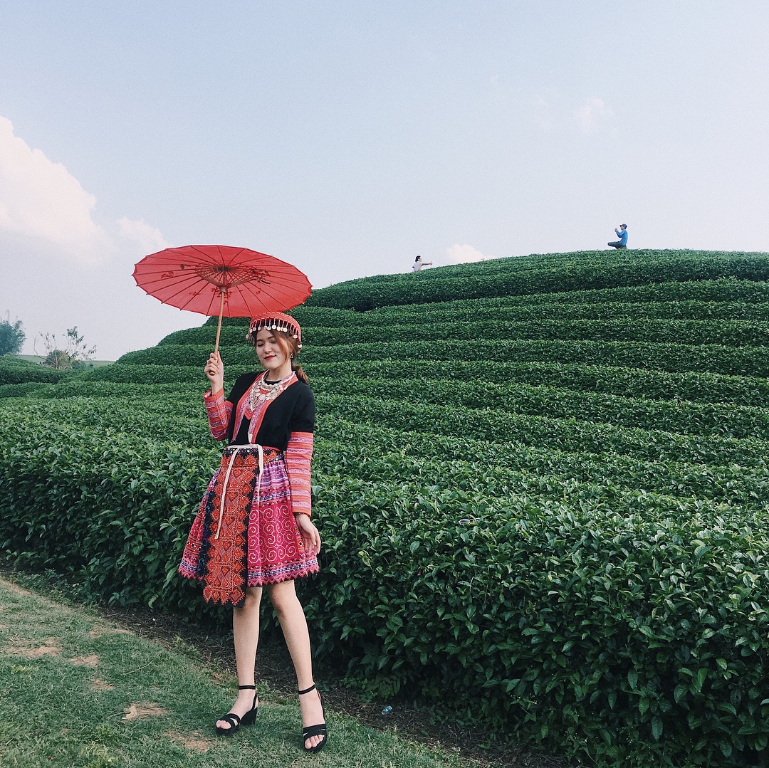7 đồi chè nổi tiếng tại Việt Nam ảnh 2 7 doi che noi tieng tai Viet Nam anh 2