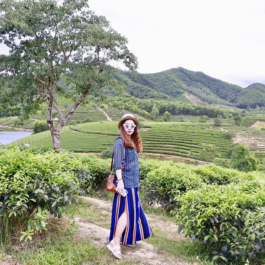 7 đồi chè nổi tiếng tại Việt Nam ảnh 12 7 doi che noi tieng tai Viet Nam anh 12