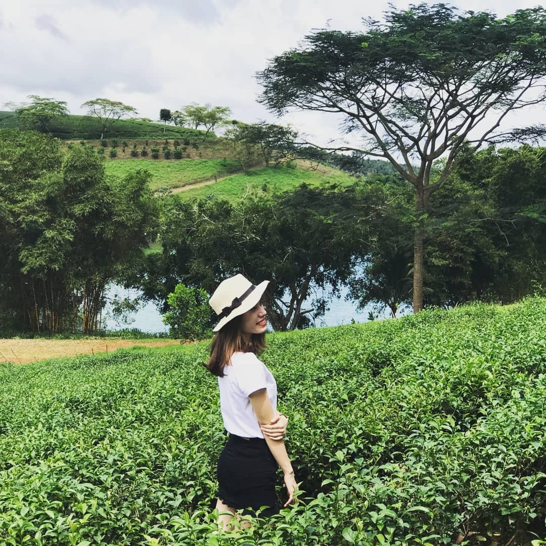 7 đồi chè nổi tiếng tại Việt Nam ảnh 3 7 doi che noi tieng tai Viet Nam anh 3