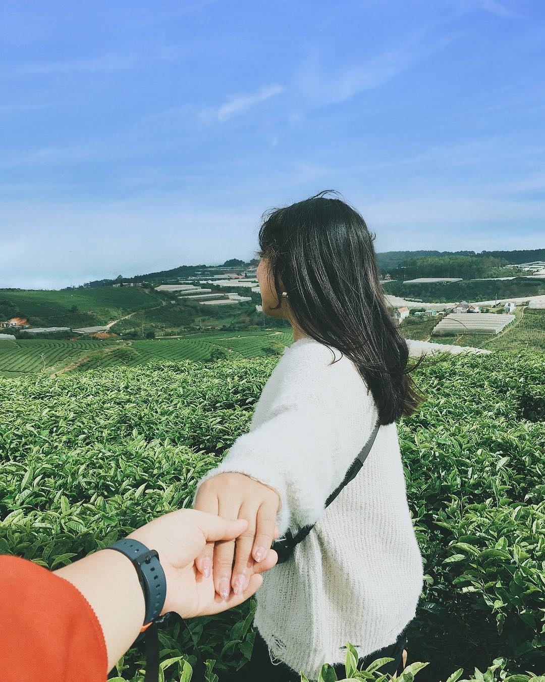 7 đồi chè nổi tiếng tại Việt Nam ảnh 6 7 doi che noi tieng tai Viet Nam anh 6