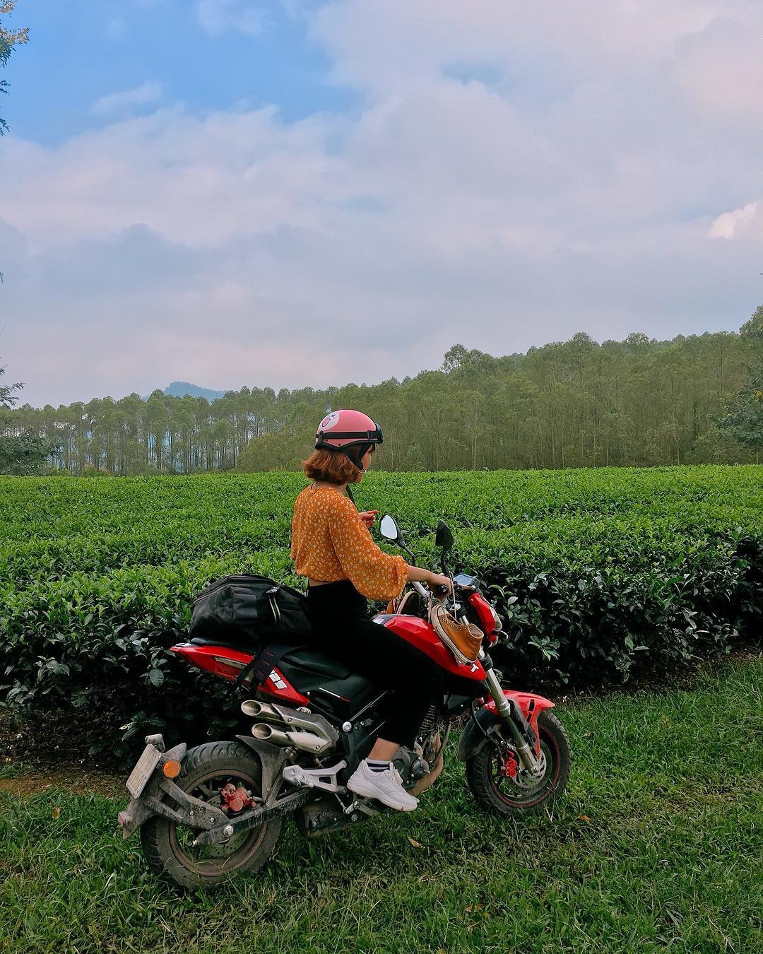 7 đồi chè nổi tiếng tại Việt Nam ảnh 13 7 doi che noi tieng tai Viet Nam anh 13