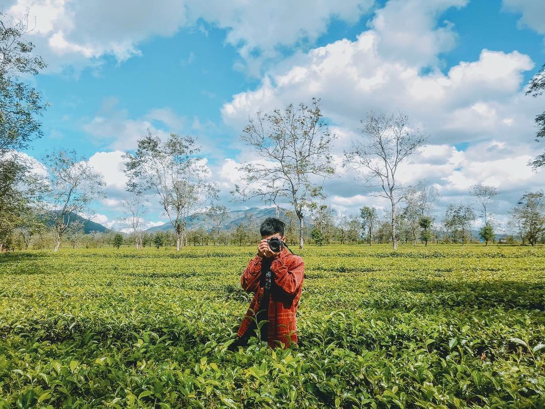 7 đồi chè nổi tiếng tại Việt Nam ảnh 10 7 doi che noi tieng tai Viet Nam anh 10