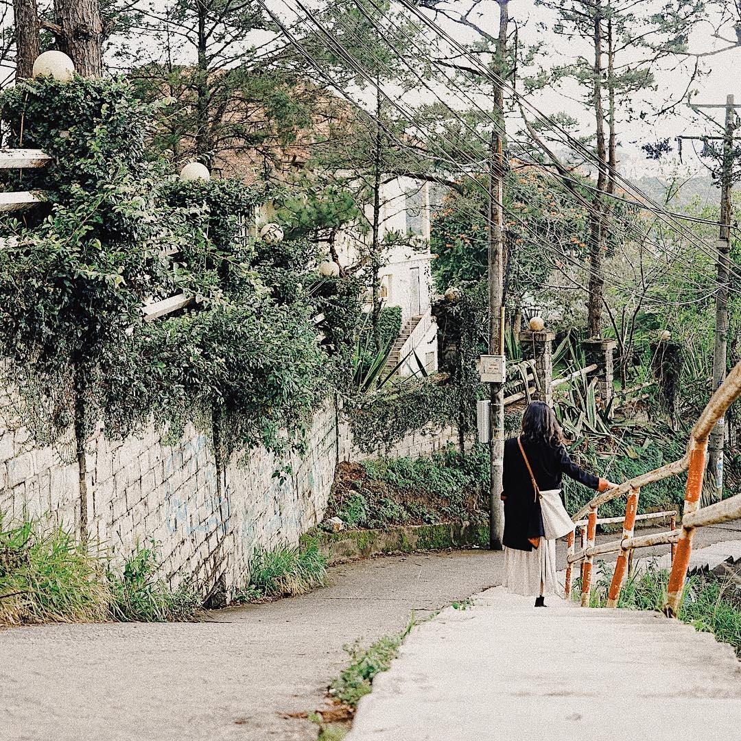 Những con dốc lên hình đẹp ở Đà Lạt ảnh 6 Nhung con doc len hinh dep o Da Lat anh 6