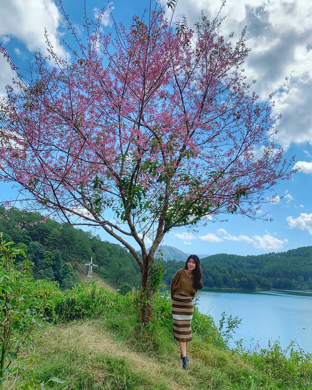 Mai anh dao Da Lat thu hut gioi tre check-in anh 14