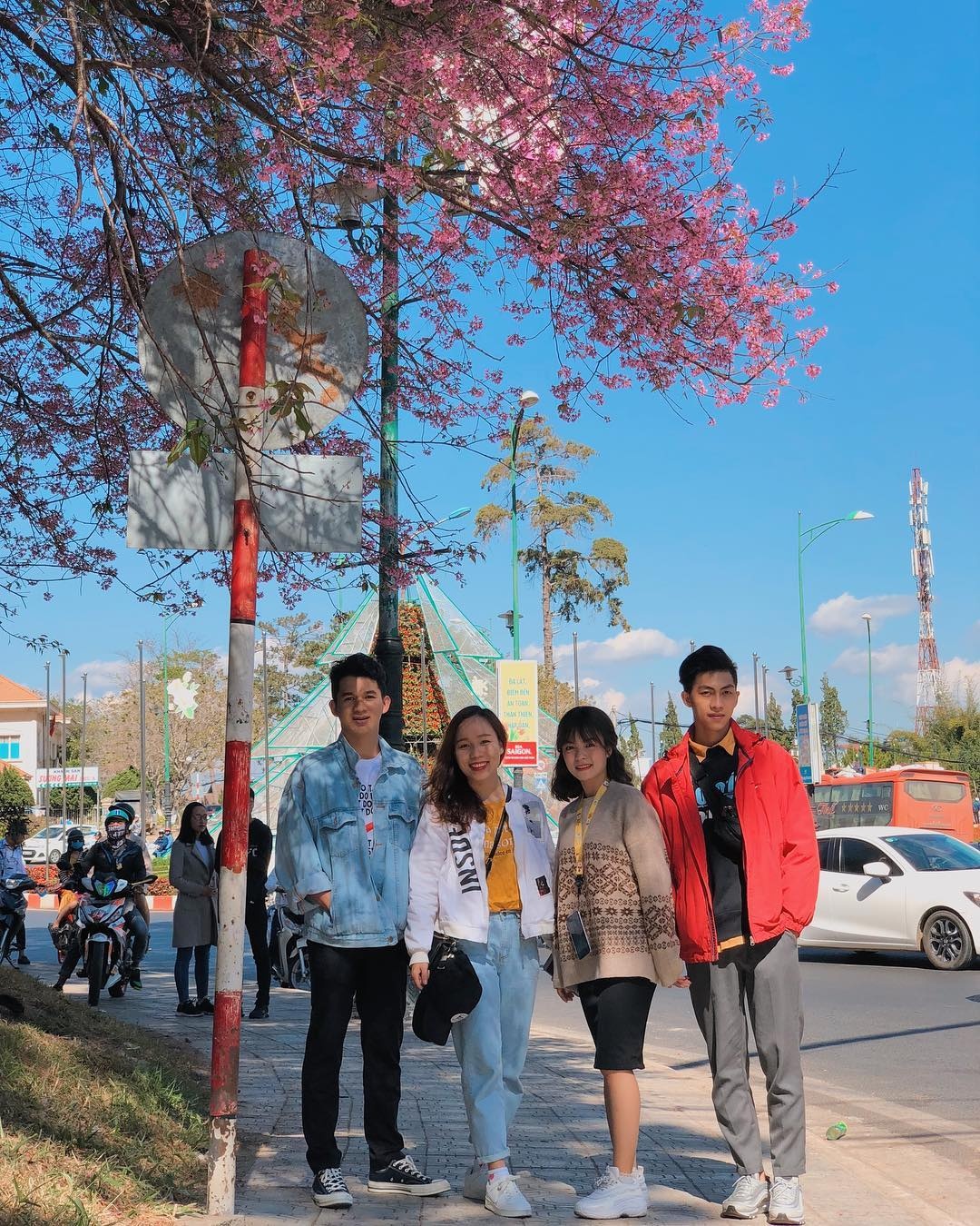 Mai anh dao Da Lat thu hut gioi tre check-in anh 15