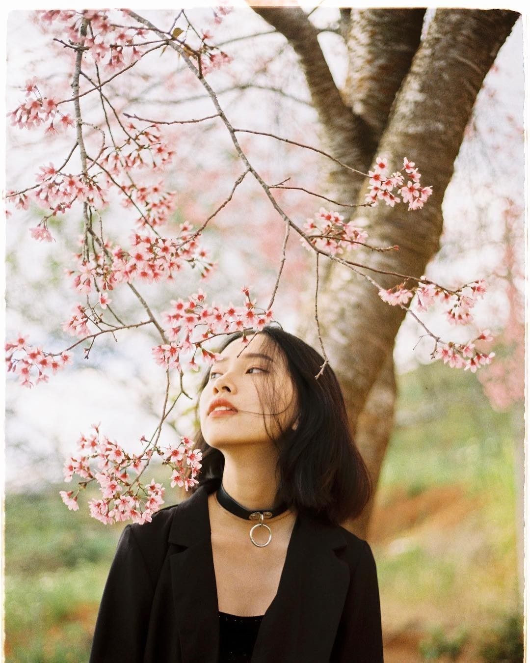 Mai anh dao Da Lat thu hut gioi tre check-in anh 12