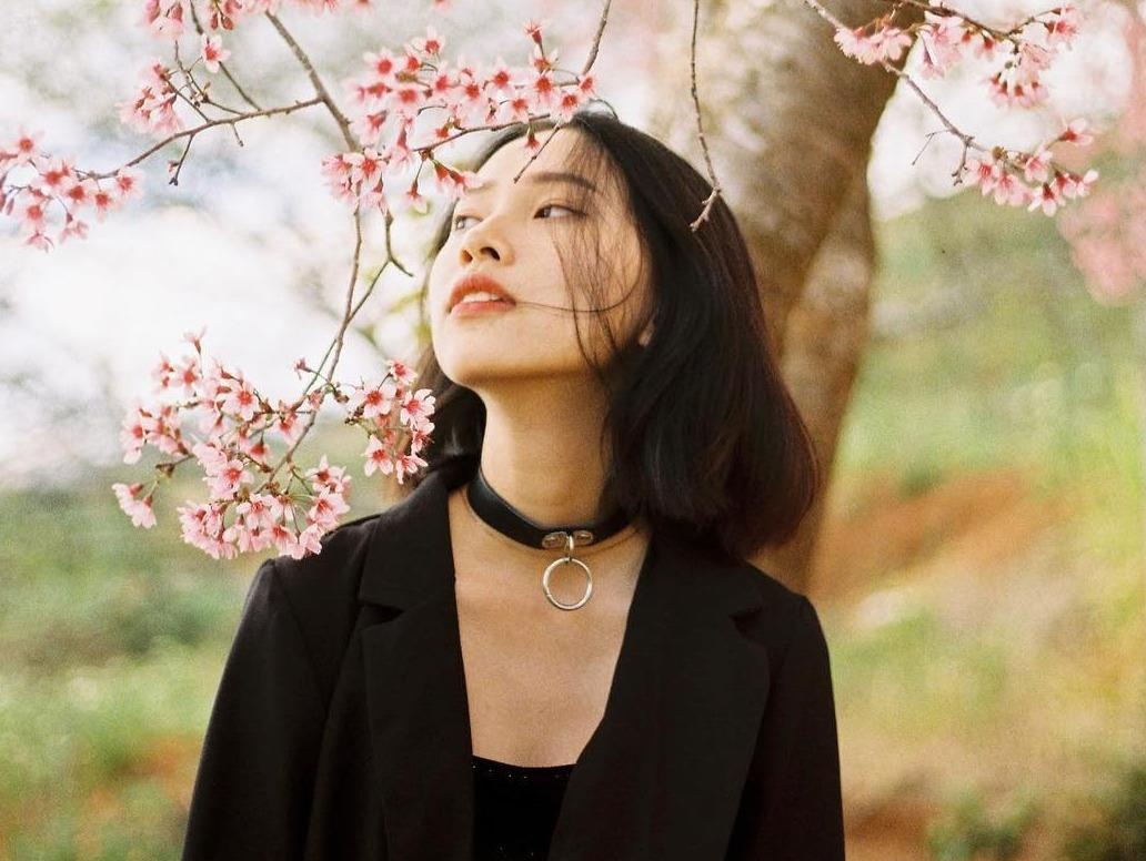 Gioi tre Viet dua nhau khoe anh check-in ben mai anh dao Da Lat hinh anh