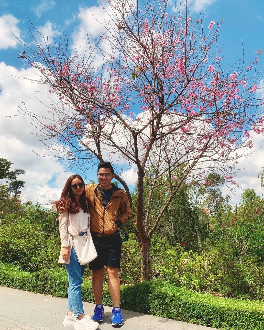 Mai anh dao Da Lat thu hut gioi tre check-in anh 6