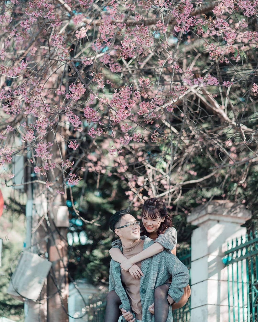 Mai anh dao Da Lat thu hut gioi tre check-in anh 7