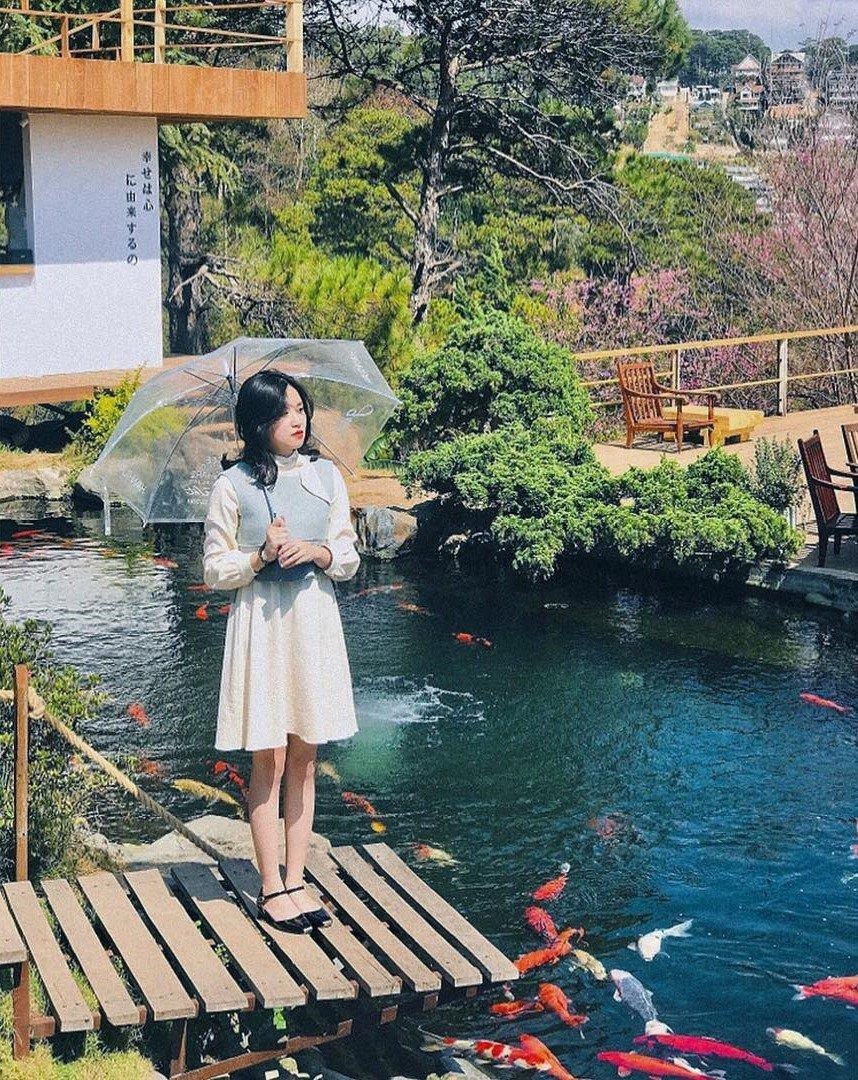 Nhung quan cafe dep,  moi mo o Da Lat anh 11