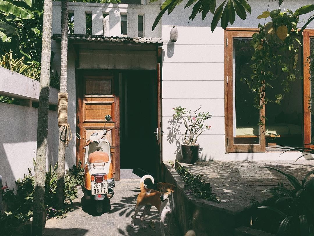 5 homestay đẹp ở Hội An ảnh 17 5 homestay dep o Hoi An anh 17